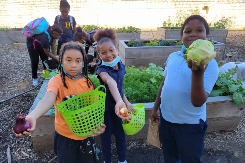 Hamilton UACS Students in School Garden